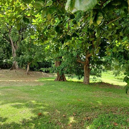 Bungalow Papaye Pointe-Noire Dış mekan fotoğraf
