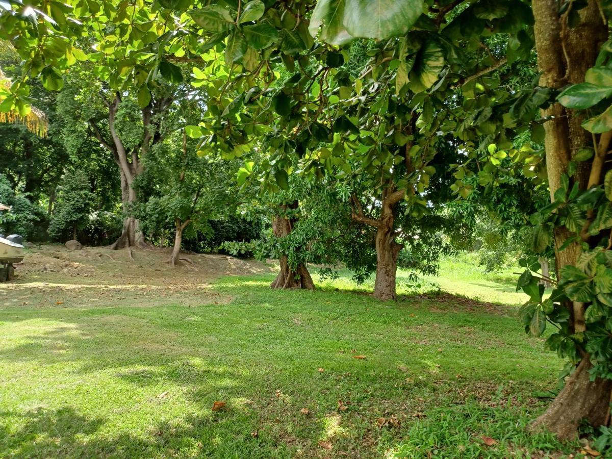 Bungalow Papaye Pointe-Noire Dış mekan fotoğraf
